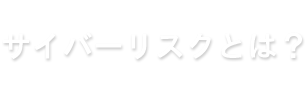 サイバーリスクとは？