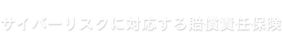 サイバーリスクに対応する賠償責任保険