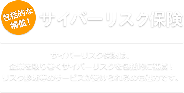 一括で補償！サイバーリスク保険　サイバーリスク保険は、企業を取り巻くサイバーリスクを包括的に補償！リスク診断等のサービスが受けられるのも魅力です。